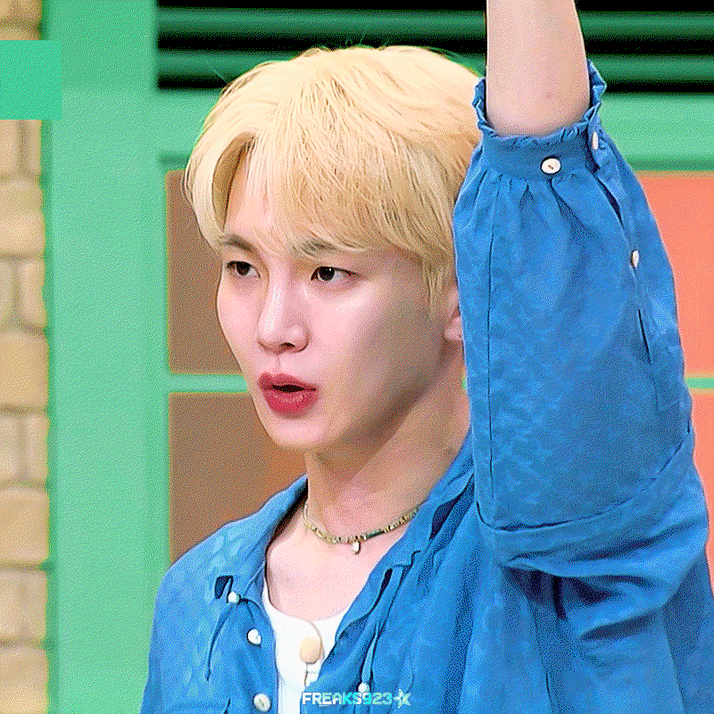 aBDokp.gif