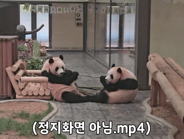 aBJnNr.gif