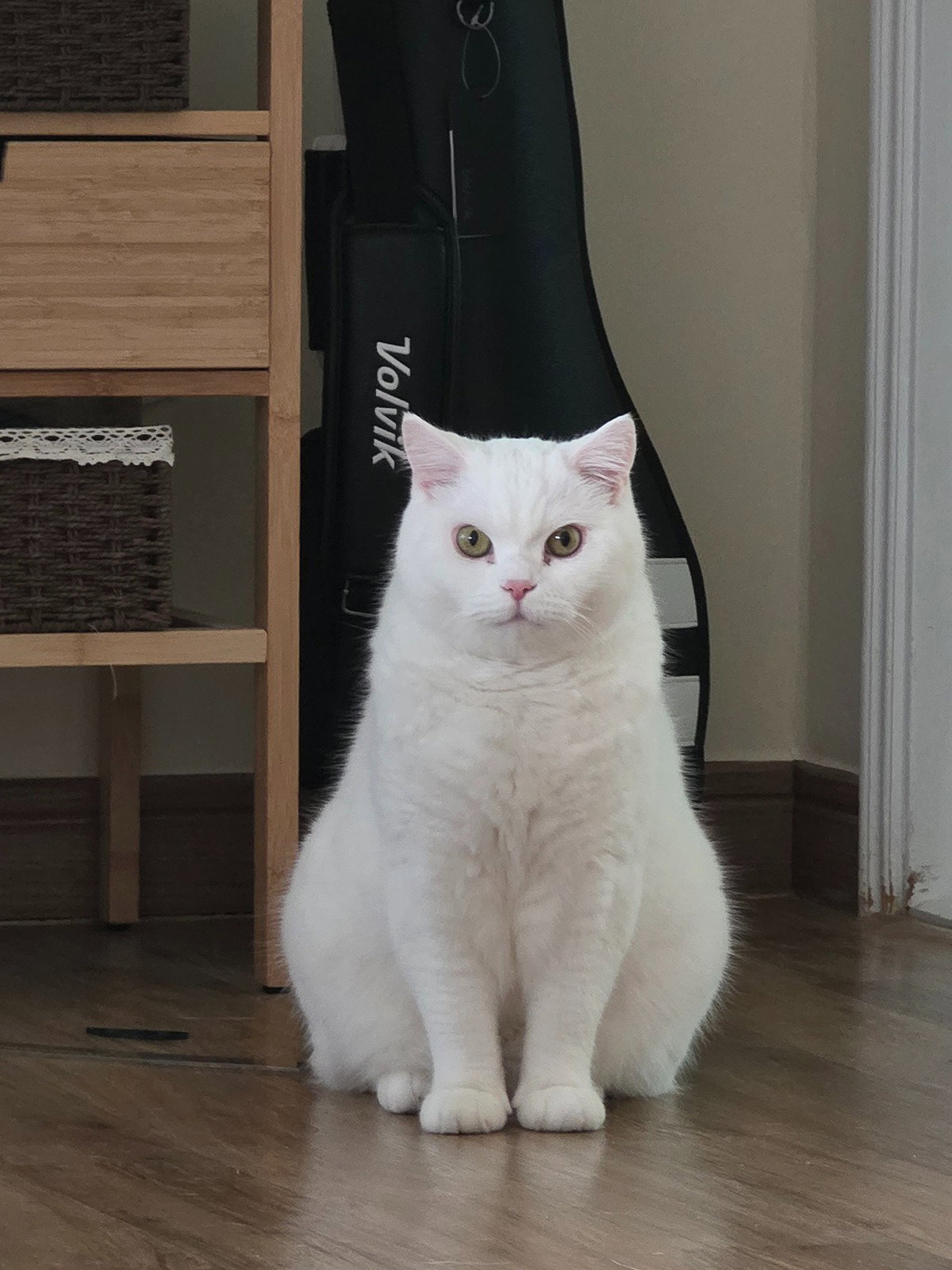 aBWBGf