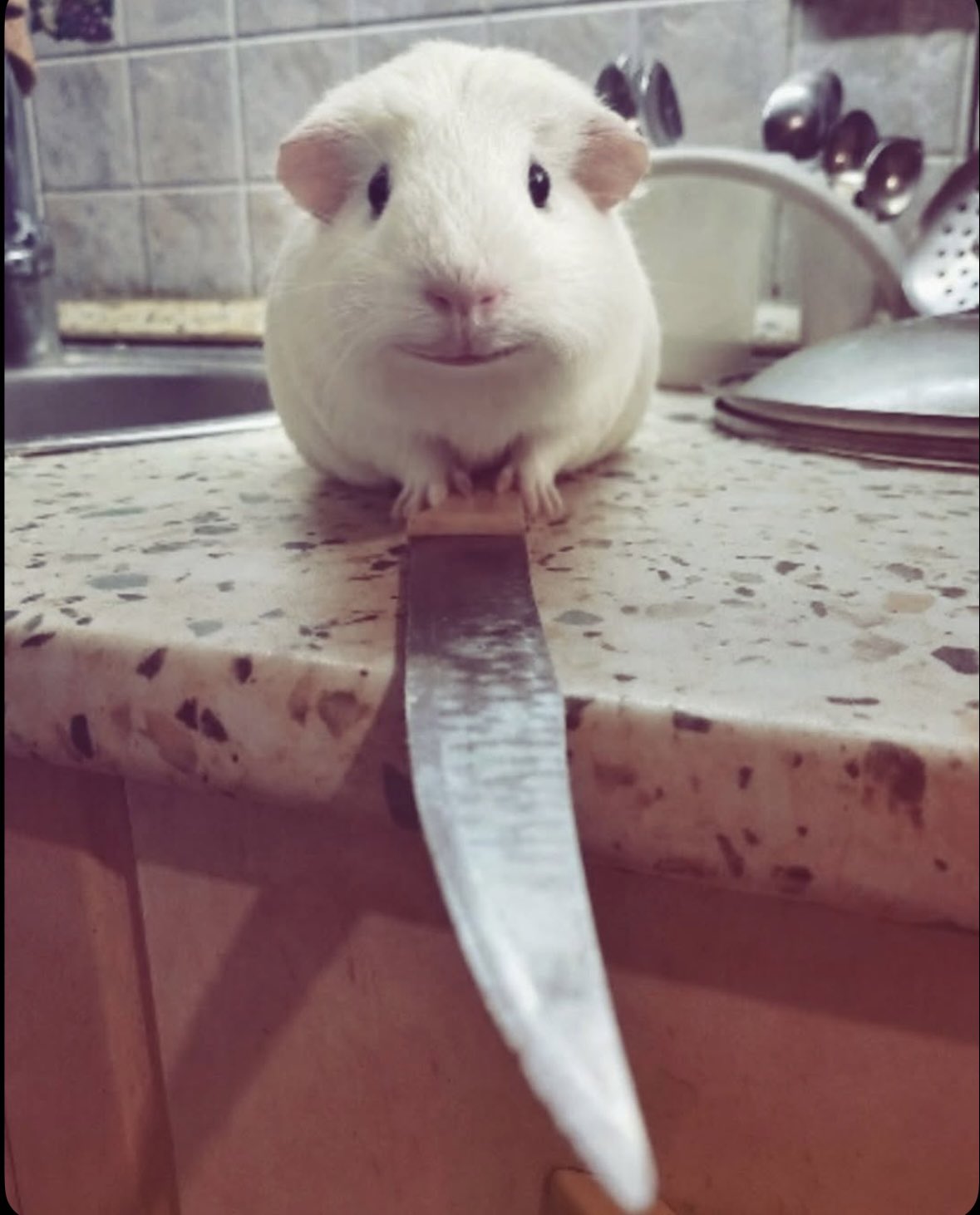 aBWhTi