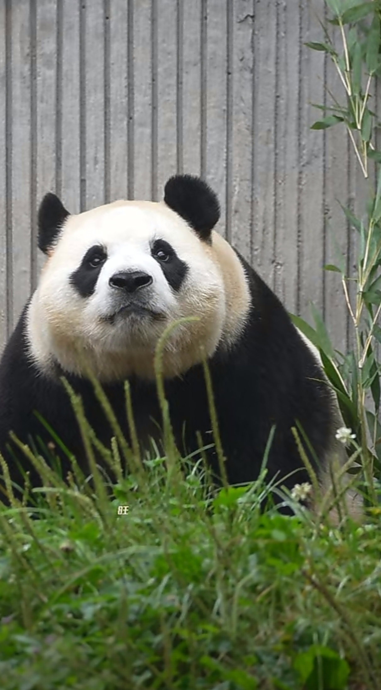 aCKEGo