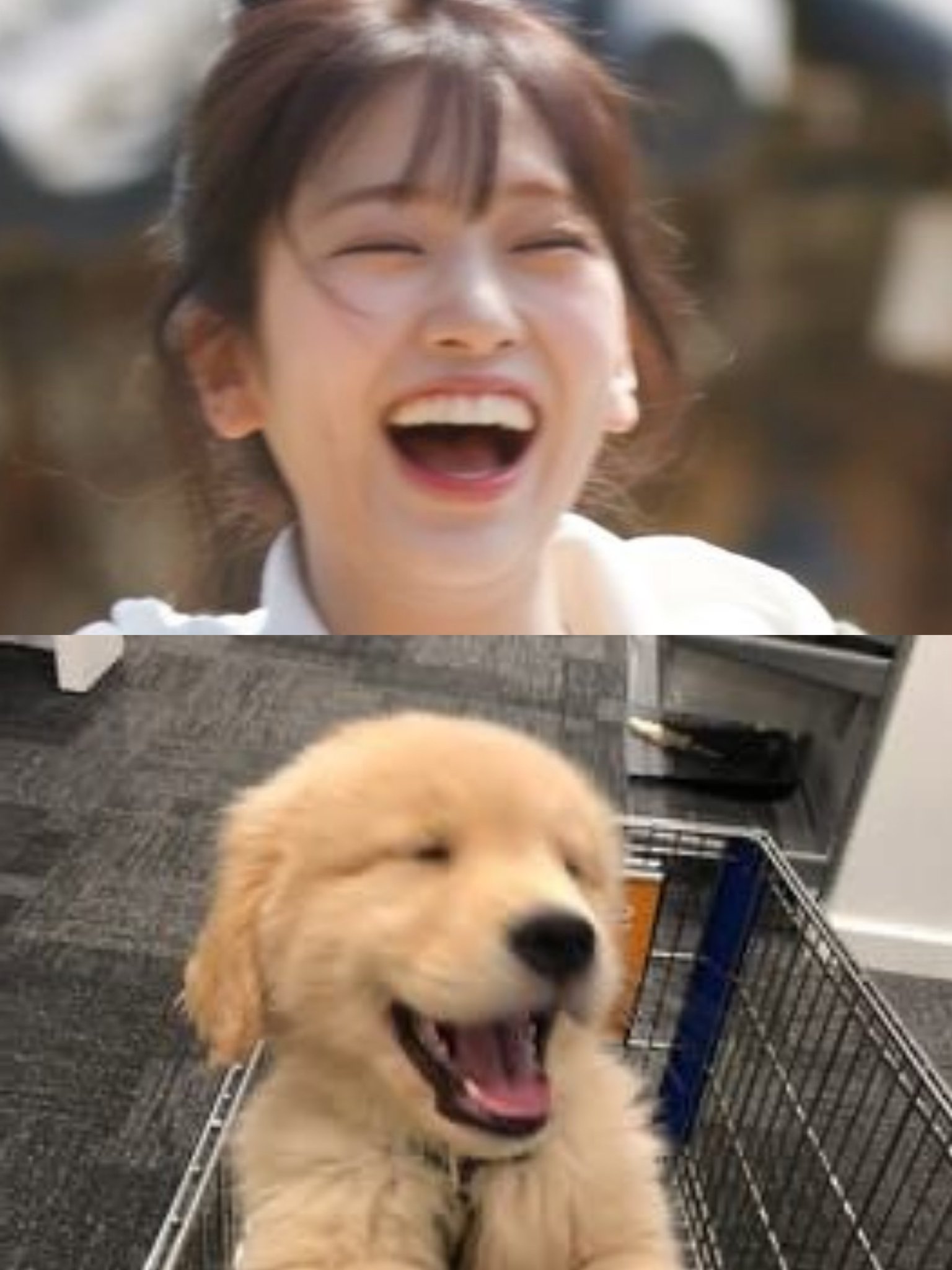aCkHzv