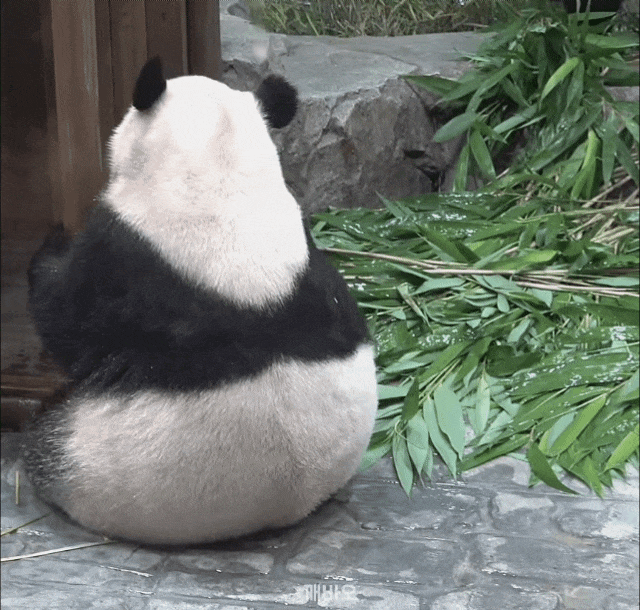 aGfkoi.gif