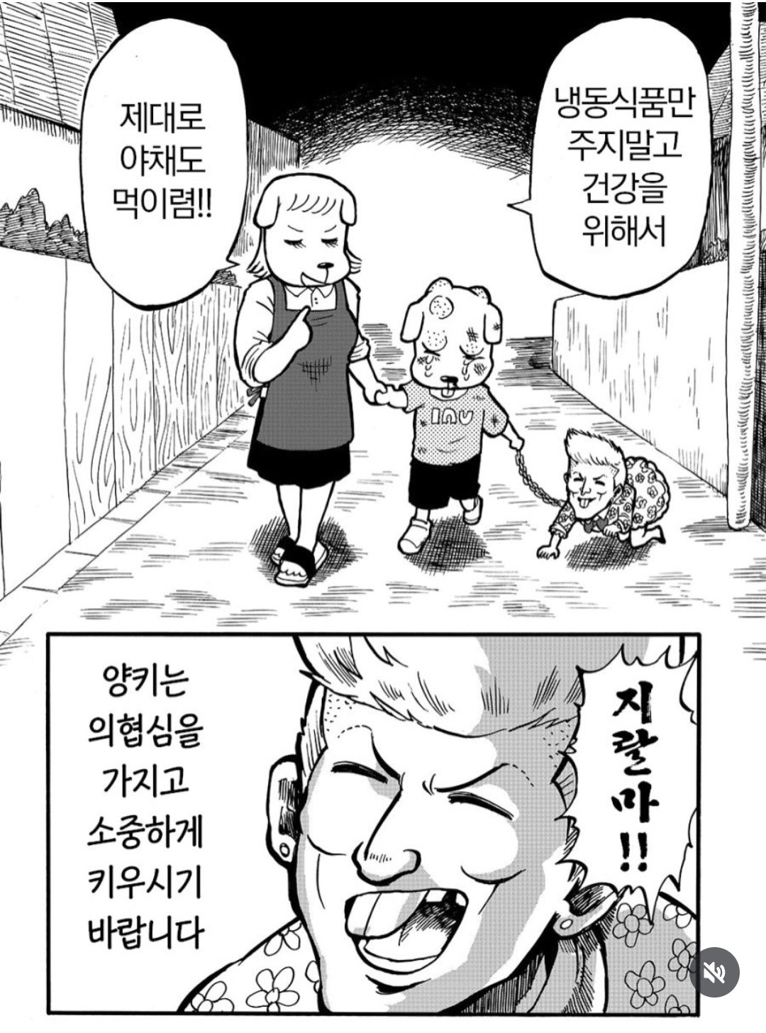 aIWWIm