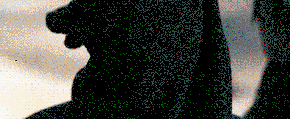 aJzbOS.gif