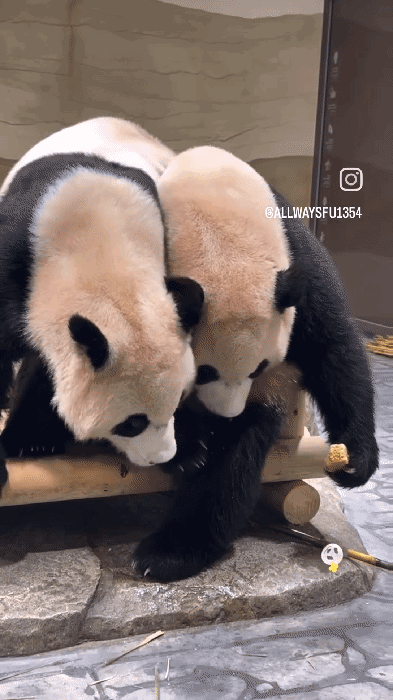 aLglWC.gif