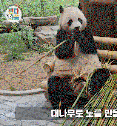 aMRzkM.gif