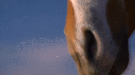 aOYmjr.gif