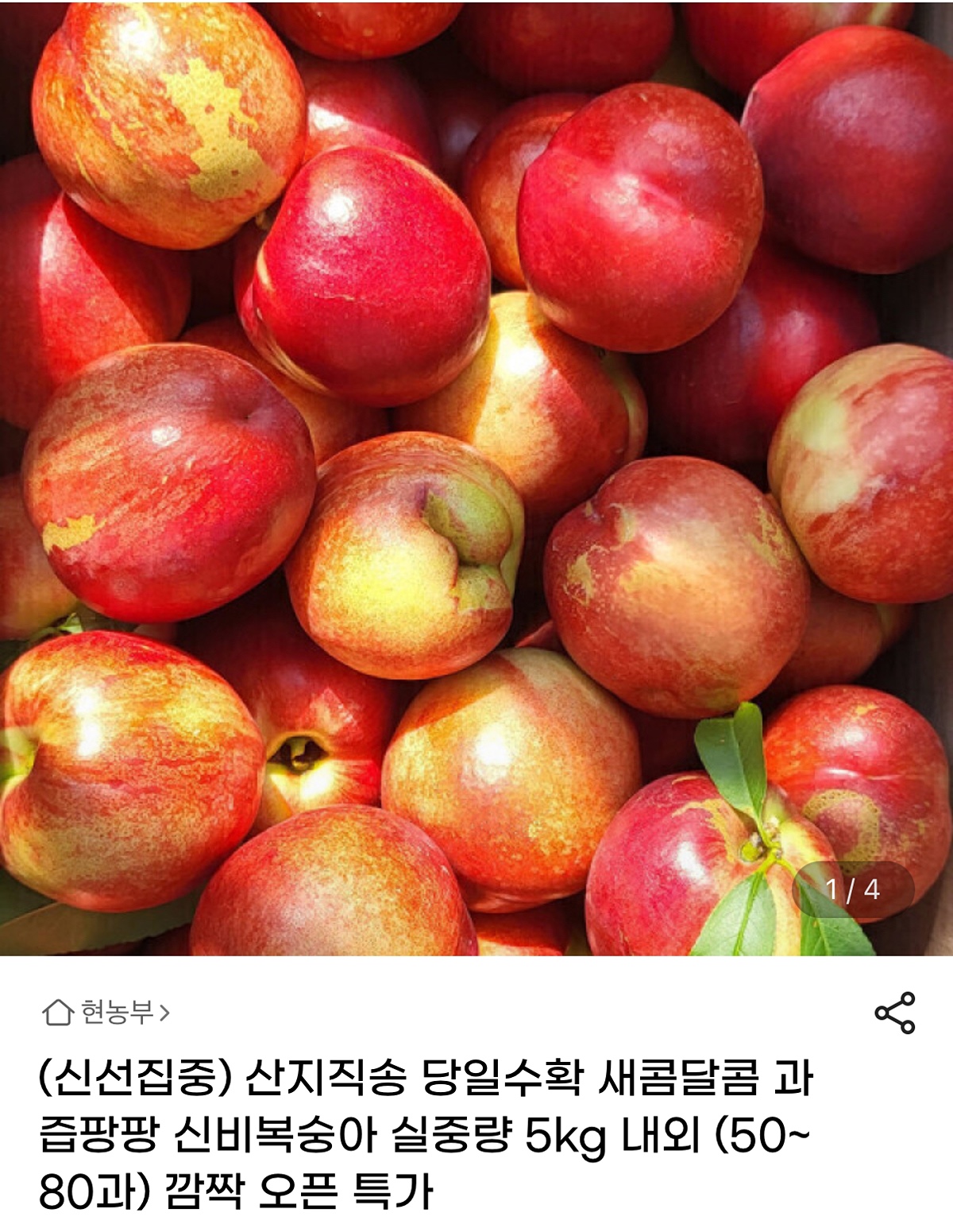 aPRhQk