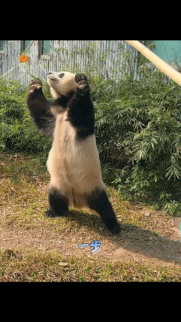 aQjZPF.gif