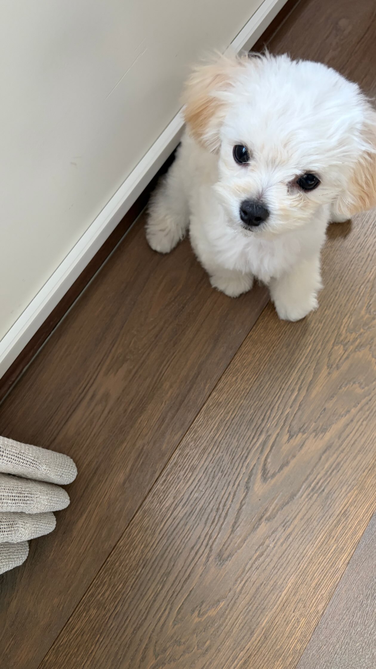 aRFqmu