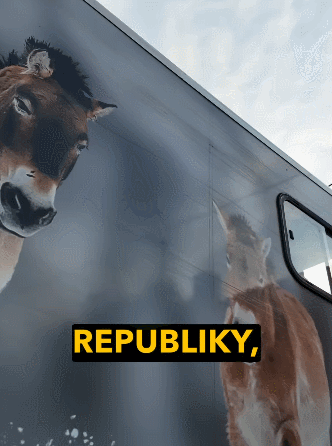 aSvtsC.gif