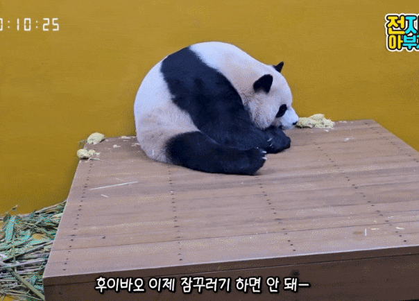 aTkBwd.gif