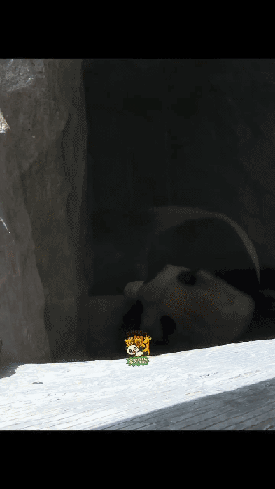 aVBlkr.gif