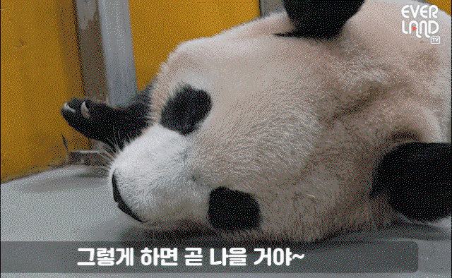 aVNOeg.gif