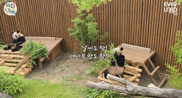 aWeMWz.gif