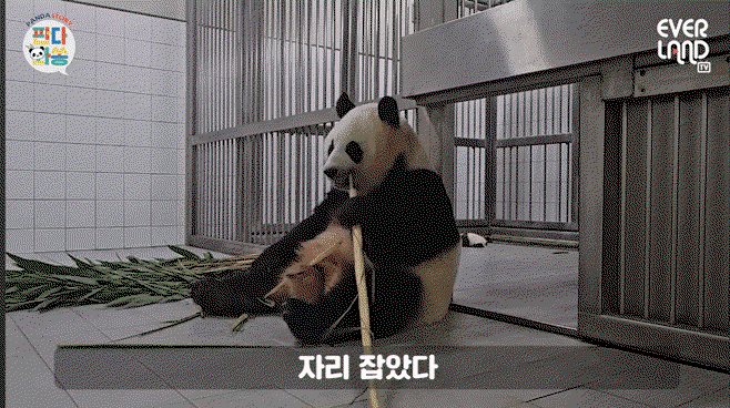 aXmbpK.gif