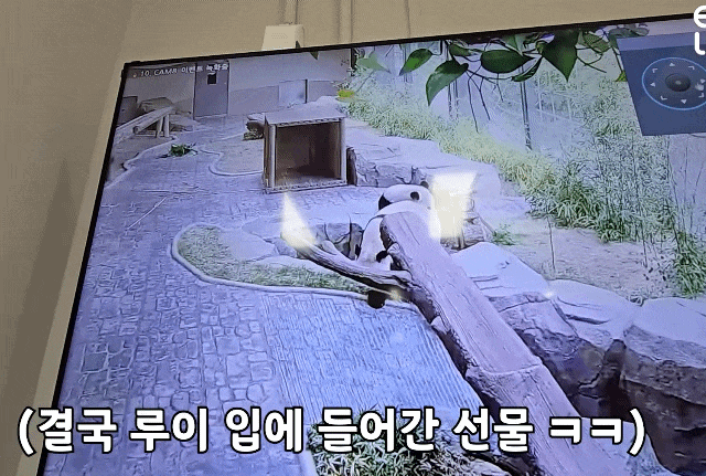 aYEunc.gif