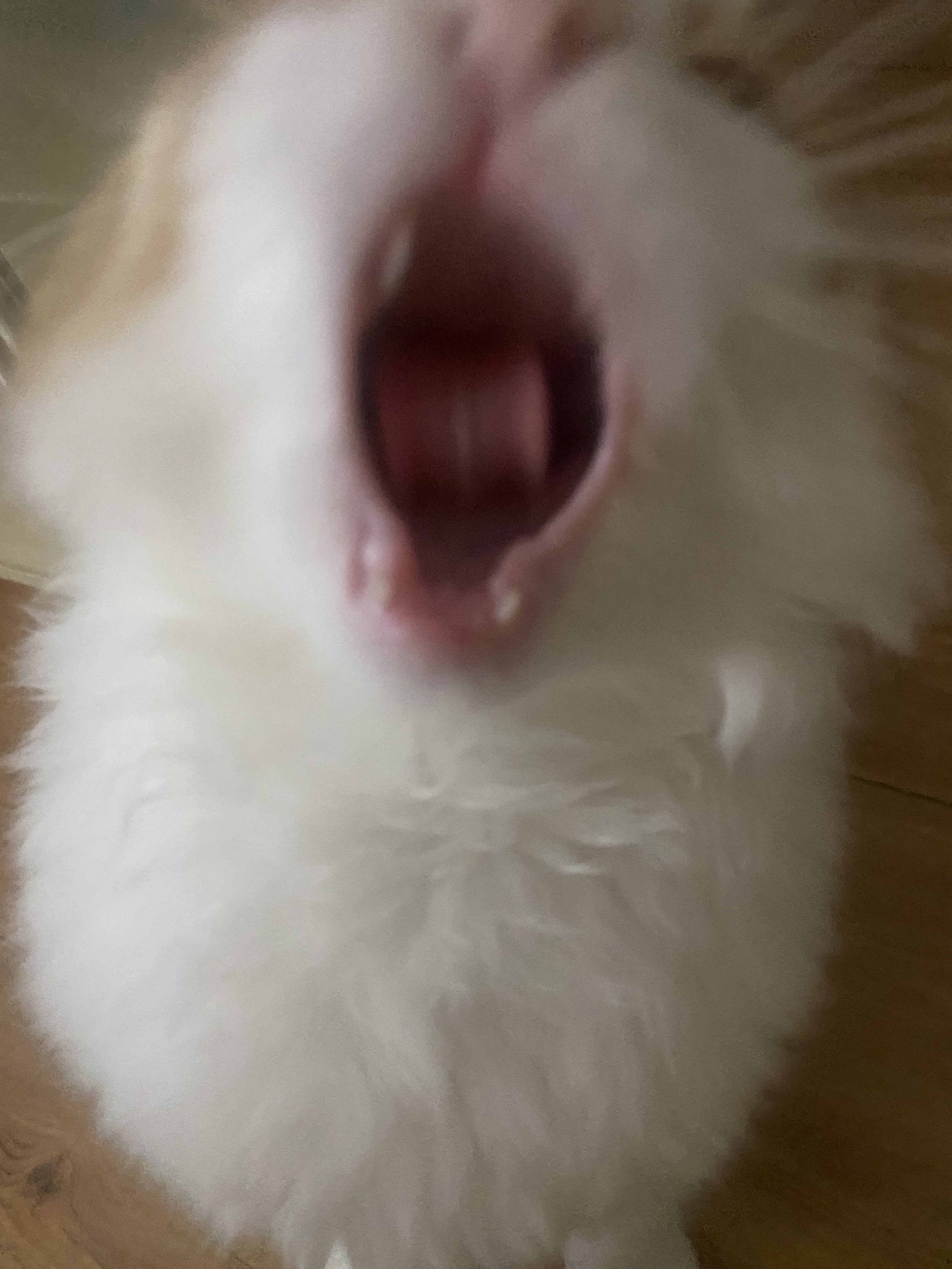 aYeWiO.jpg