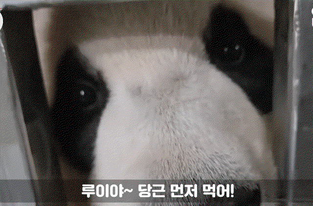 aYhxIj.gif