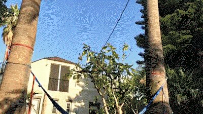 aZGRdF.gif