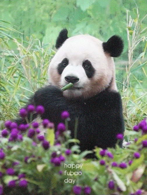 abHJrV.gif