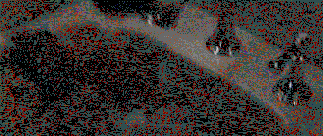 acRIbd.gif