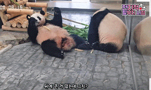 acfrfc.gif