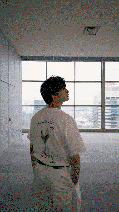 aefMip.gif