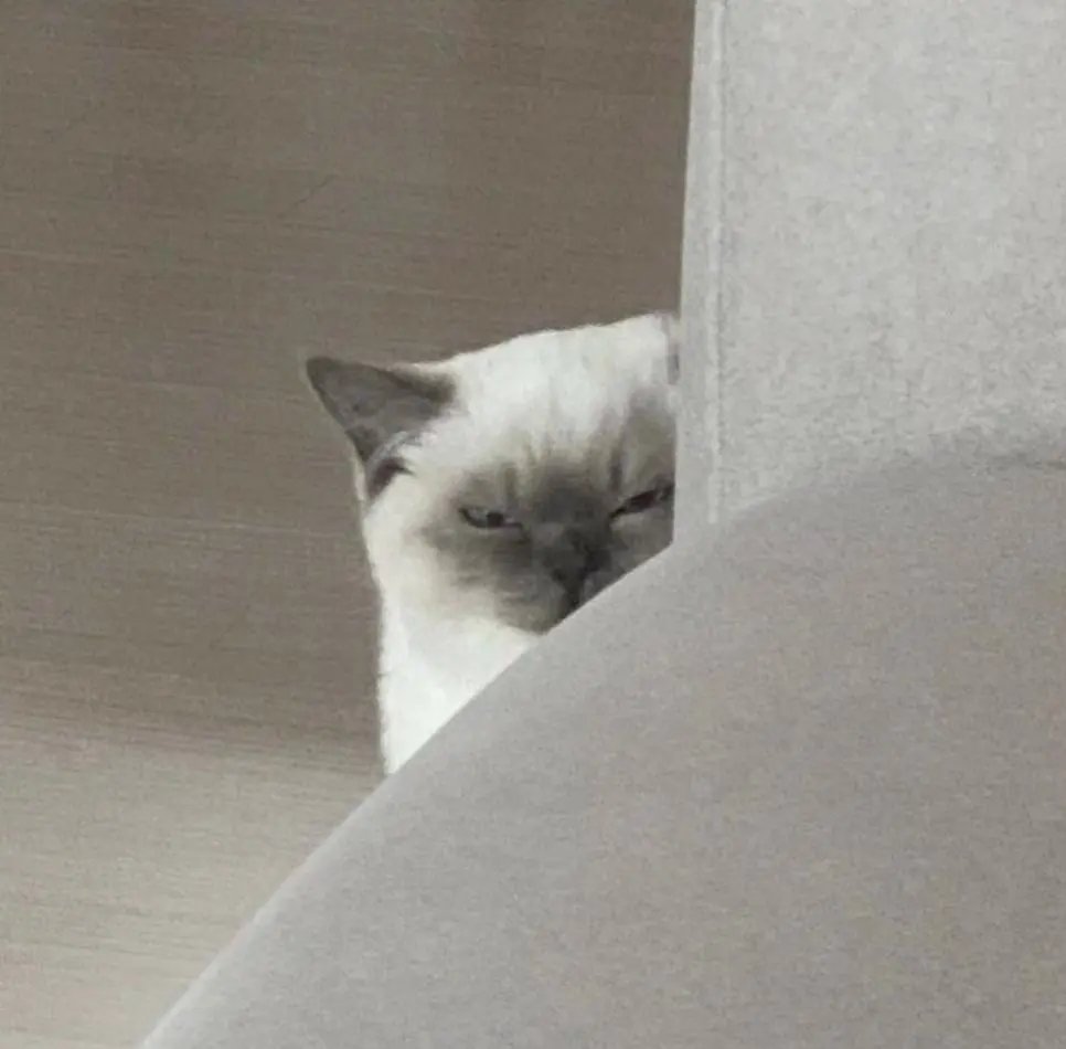 agXVOF
