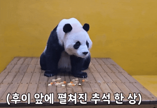 aiLNmD.gif