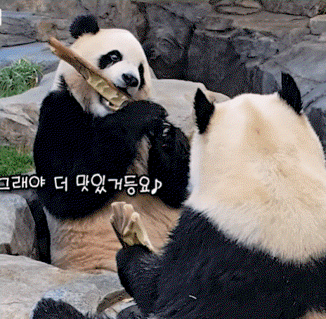 alnUYQ.gif