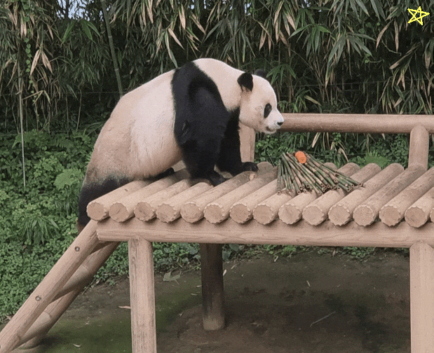 amUwoX.gif