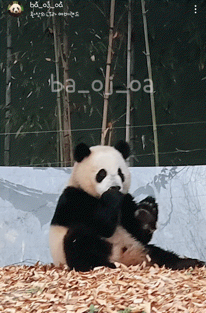 amhYaU.gif