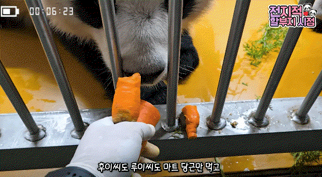 aoKIaW.gif