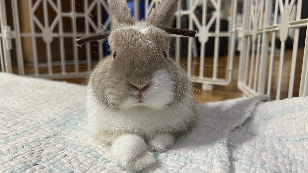aoOQTY