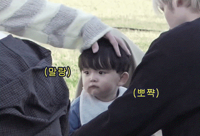 aoyxtV.gif