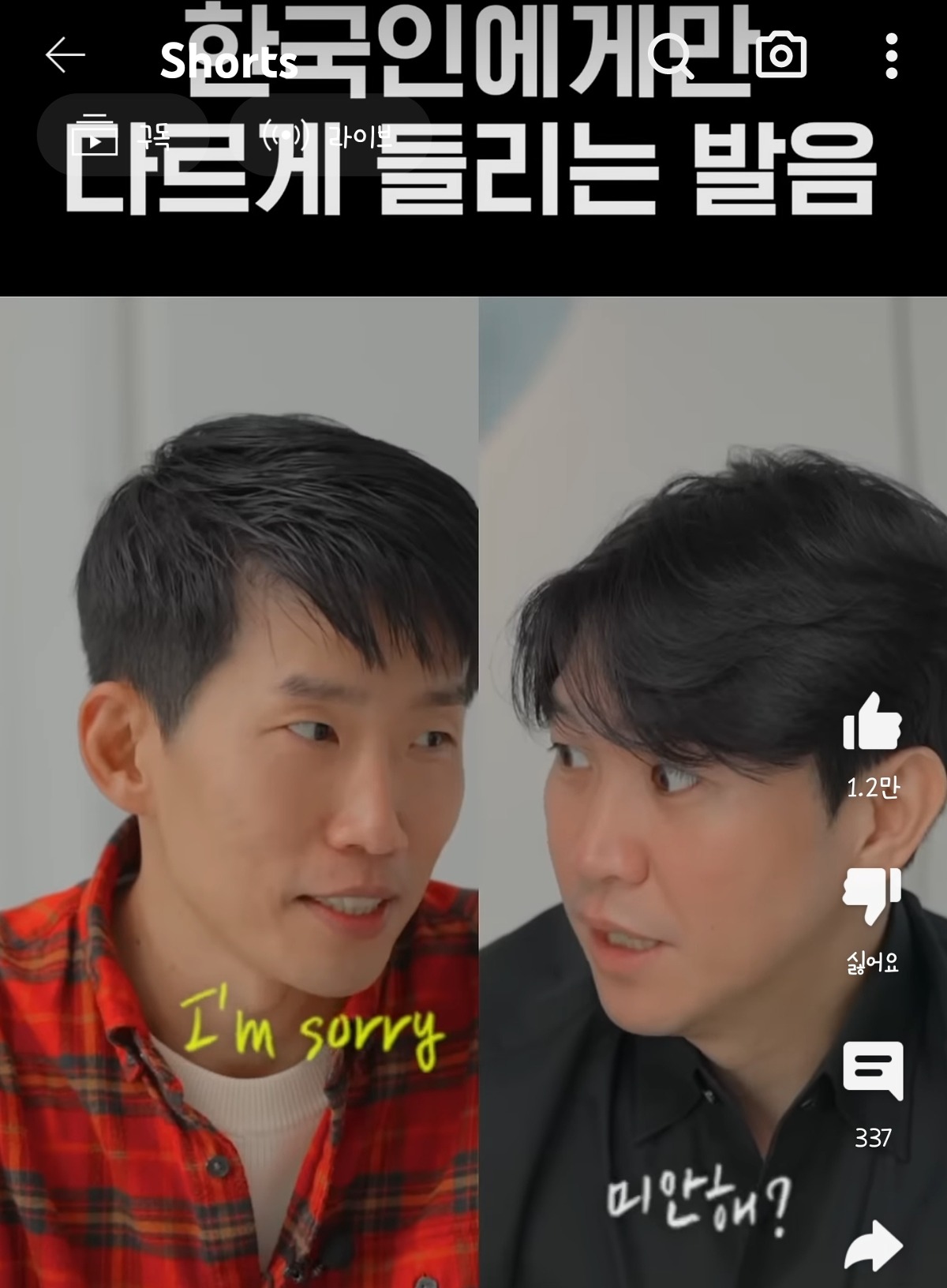 더쿠에서 자주 사용되는 용어와 언어 특징