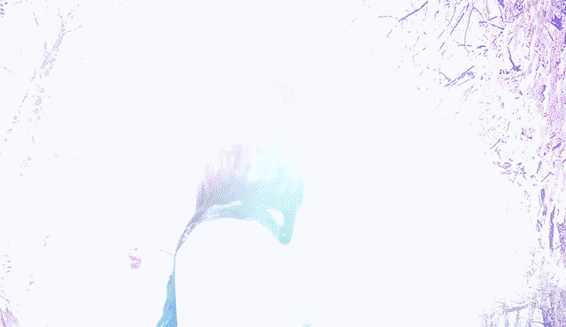 asnCmS.gif