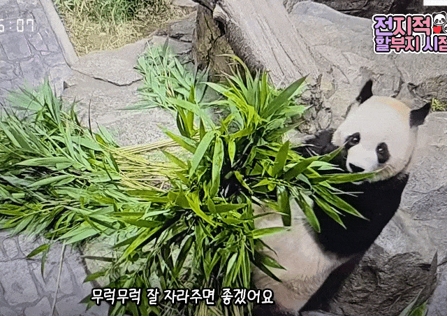 atkhwT.gif