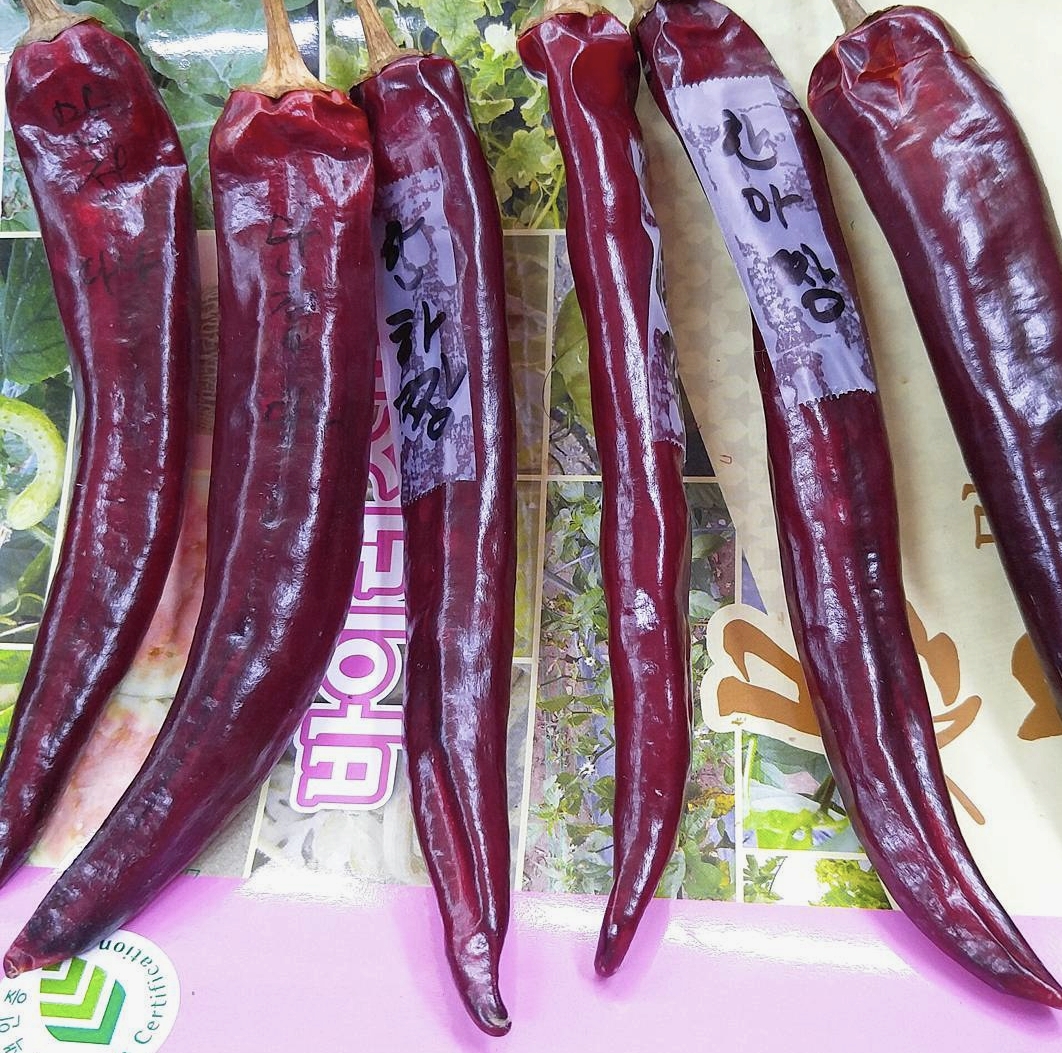 auFSAZ
