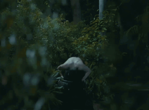 aukMzm.gif
