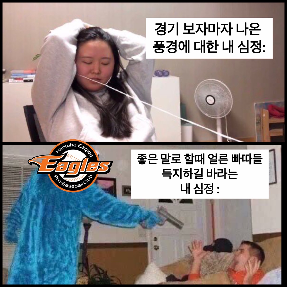 avRfvs