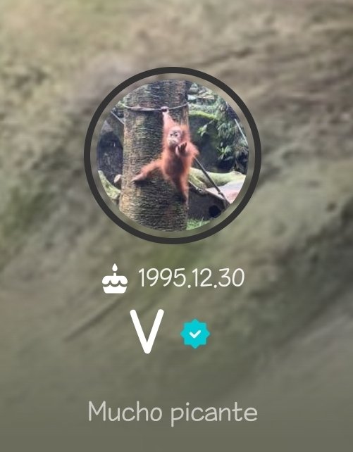 avXkoT