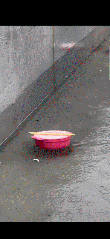 avnOQB.gif