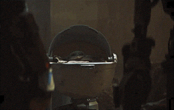 axPnAm.gif