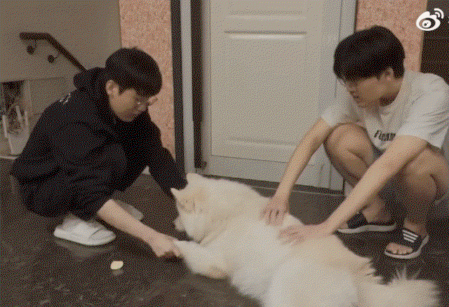 aykSdM.gif