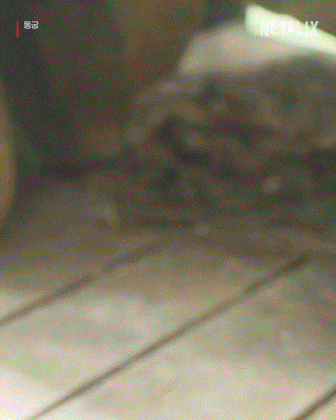 azYGsC.gif