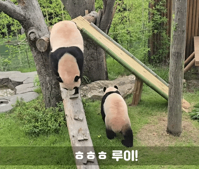bAUdaf.gif