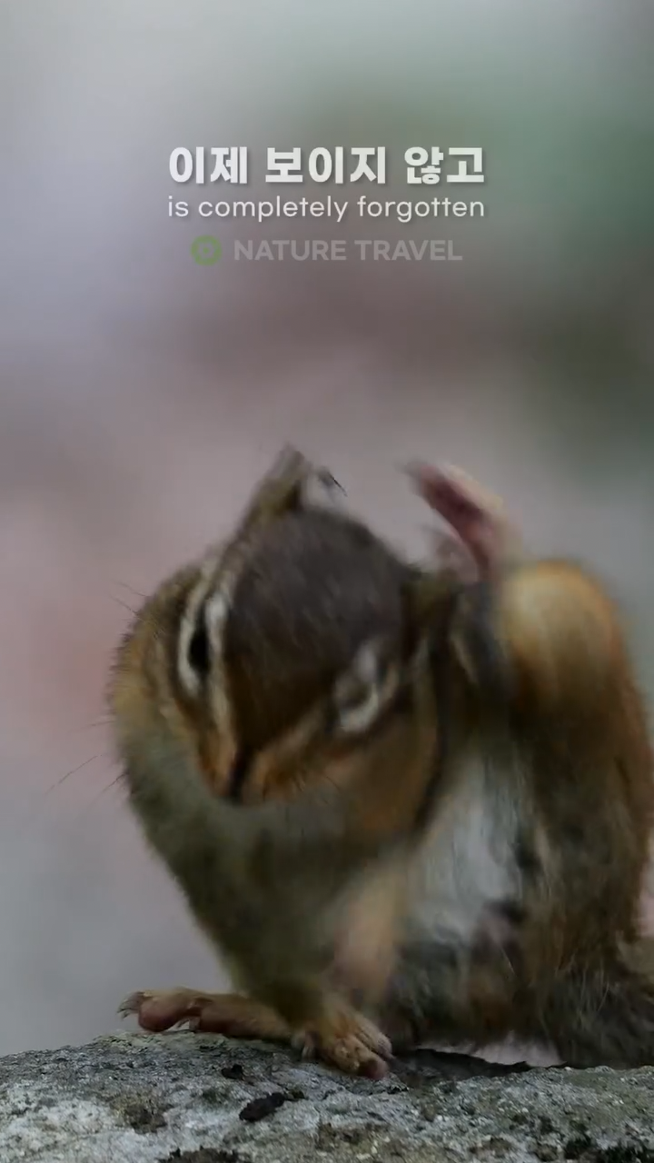 bAZFvV